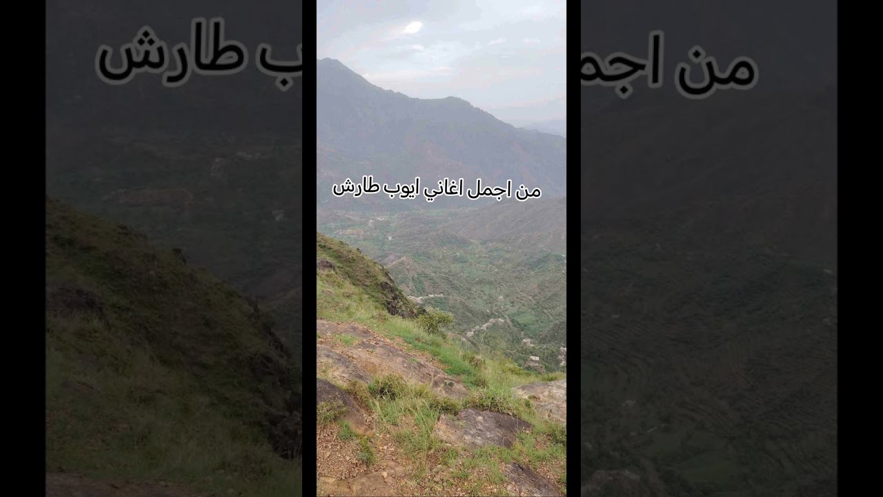 ١٢ فبراير ٢٠٢٦