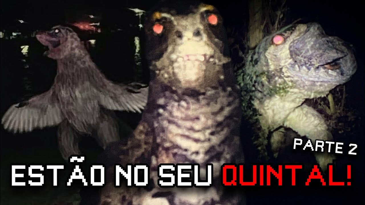 Weird Birds 2 - O que são essas coisas no meu quintal?! (ARG Horror)