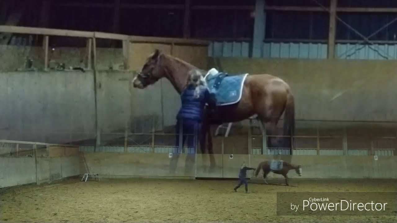 Kathi 💞 mit Schabracke und Gurt, anschließend kurzes Auftrensen