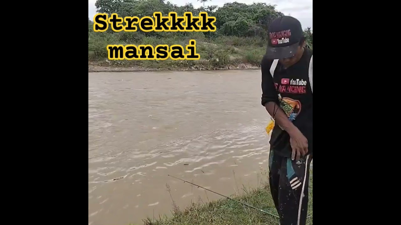 Strekkkk MANSAI Ama tawass