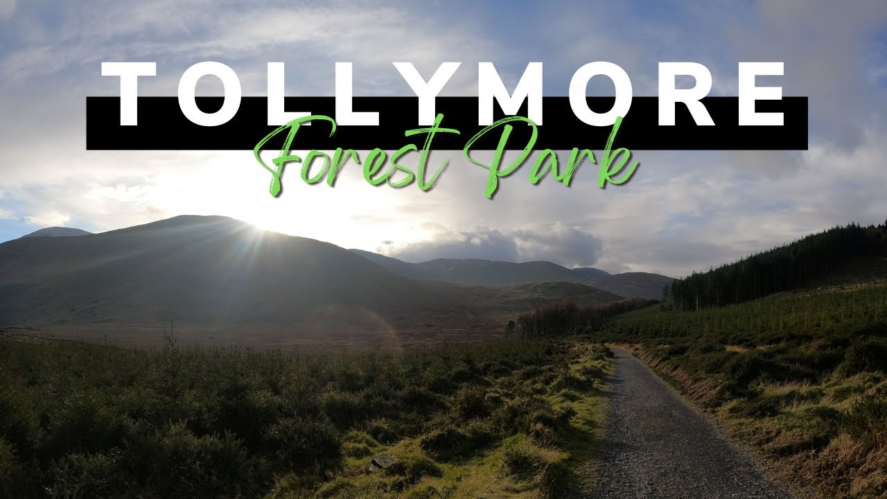 Tollymore Forest Park | Northern Ireland | Black Trail & The Drinns | 4k