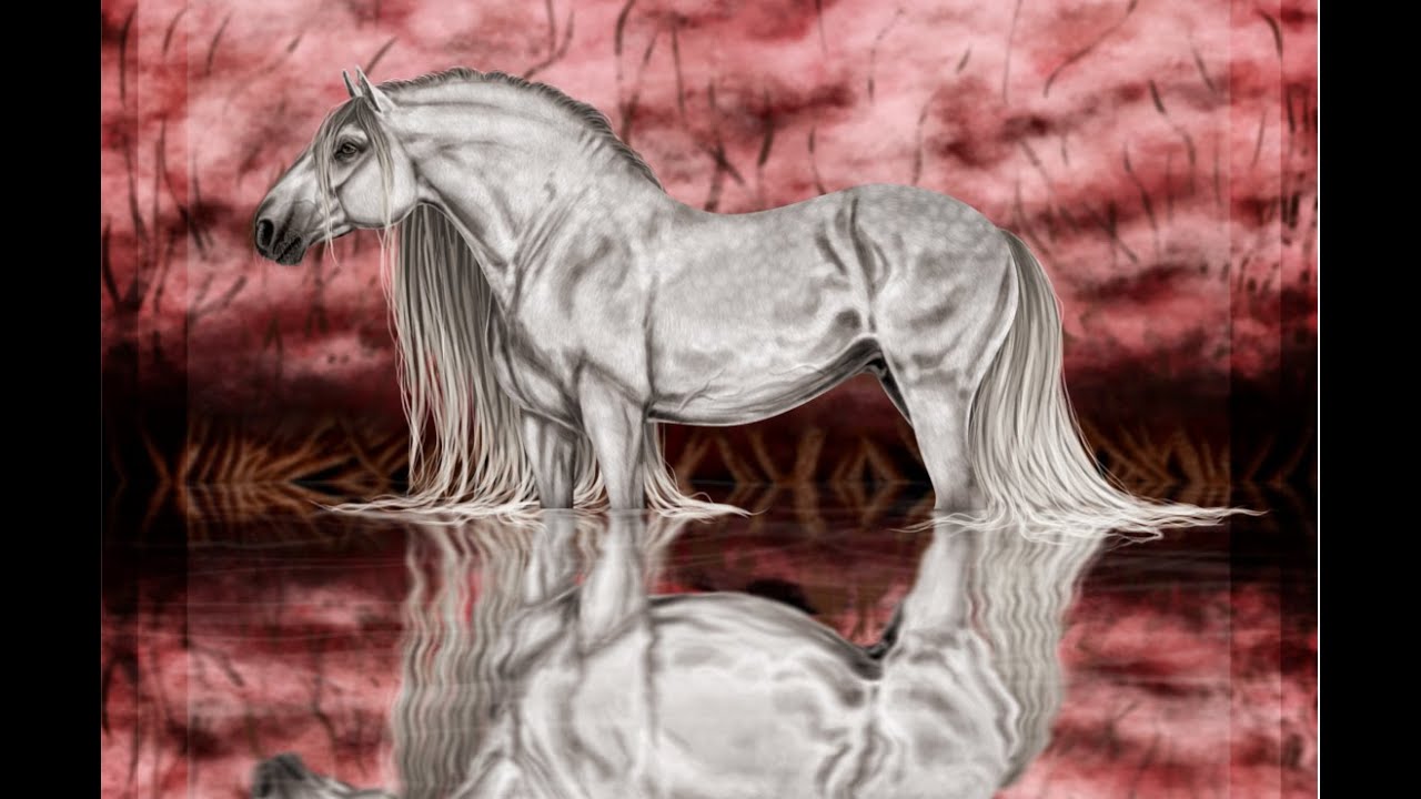 SpeedPaint: Lusitano in Water