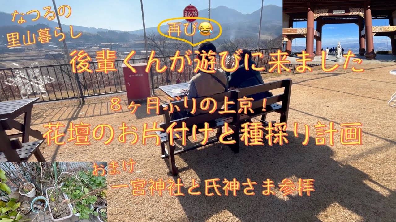8ヶ月ぶりの上京　花壇の片付けと種採り計画　後輩くんが再び遊びに来ました　おまけ一宮神社と氏神さま参拝