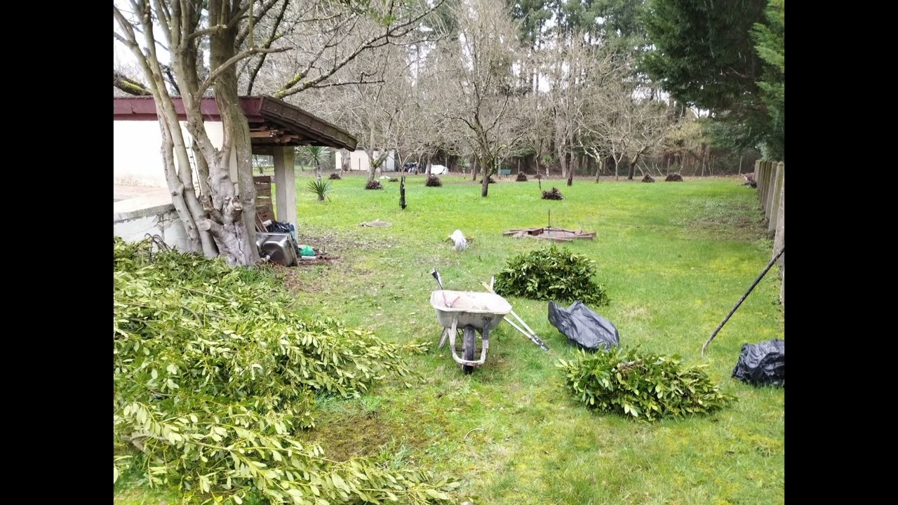 arie da opere italiane