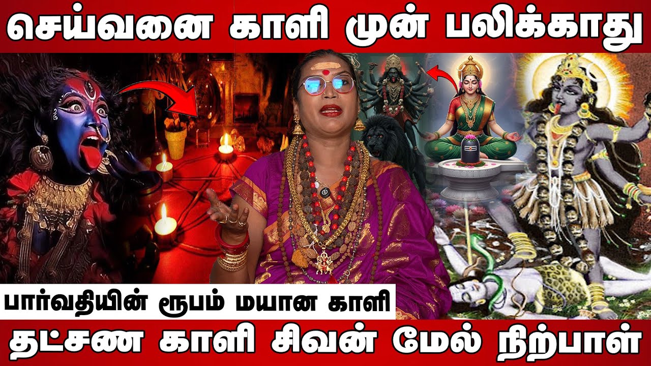கேட்டதை கொடுக்கும் மயான காளி | Chamundi Malaika #kali #kalimaa #kalipuja #melmalaiyanurangalamman