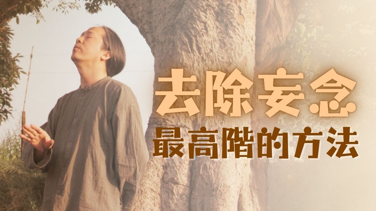 【弘聖上師開示特輯】去除妄念最高階的方法 | 直接捻掉！| 念佛不是要對治負面念頭 轉【一覺元 YJYLC】