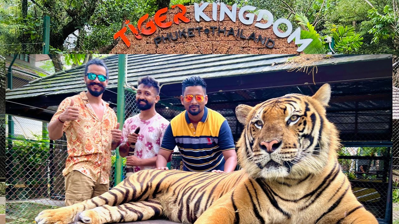 Tiger Kingdom Phuket | Meeting with Real Tigers | Thailand