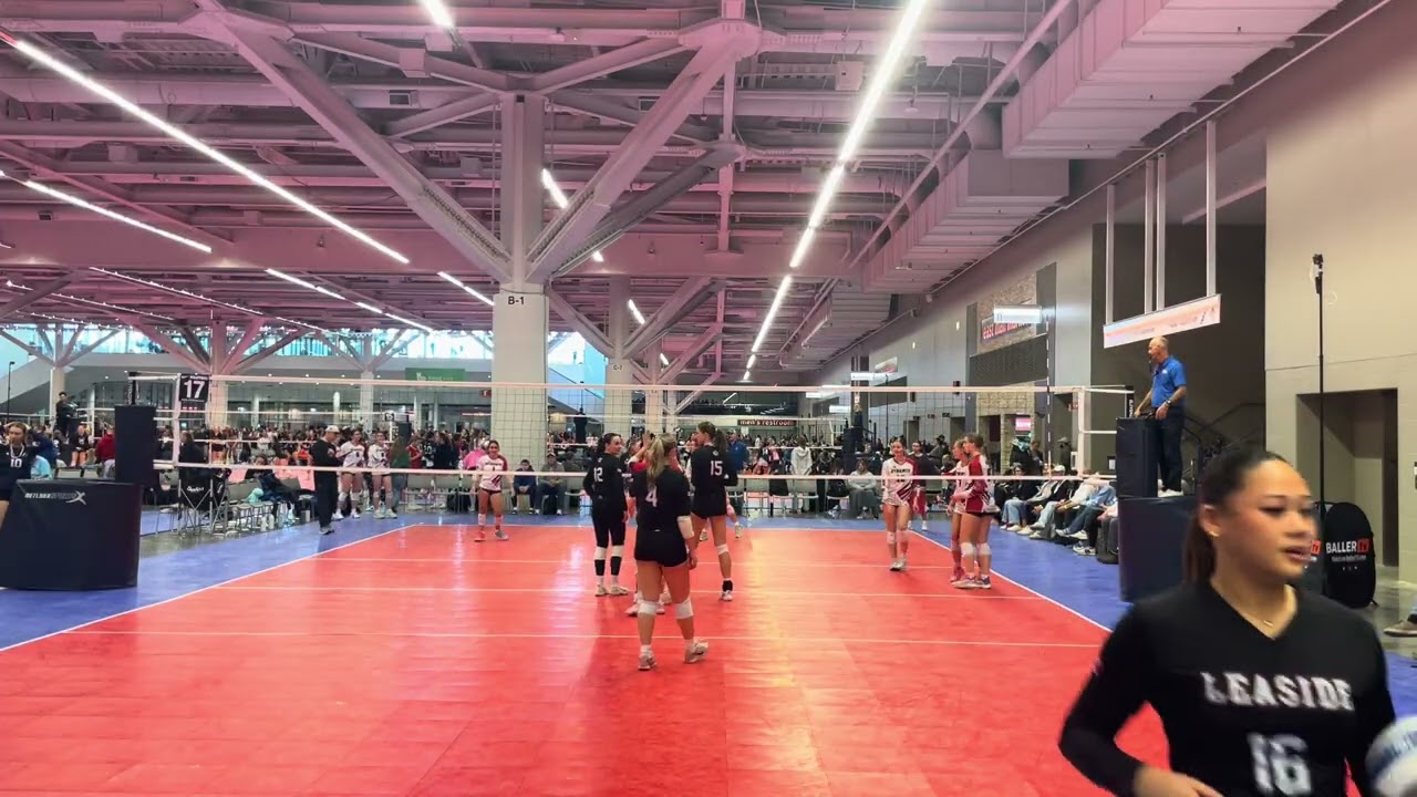Dynamite Adidas 17-1
