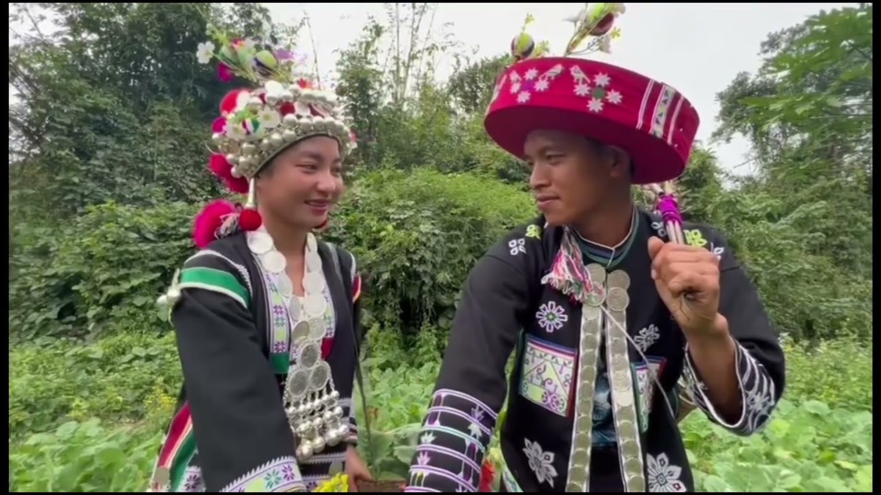 เพลงอาข่า อยากรักกันสักครั้ง (Tiqpov xehaw mawvq Nya)