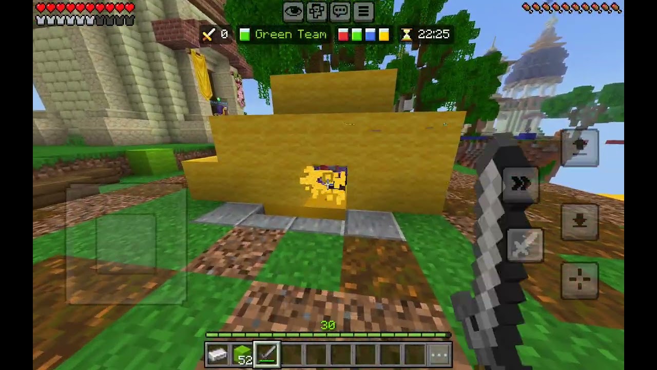 Hive bedwars squad 