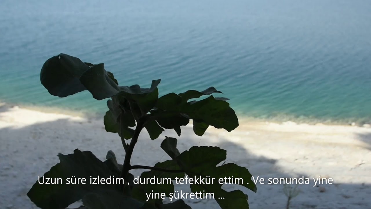 Sessiz Vlog | Sakin , G&uuml;zel Bir G&uuml;n | Şanlıurfa / Bozova / &Ccedil;atak 🌿