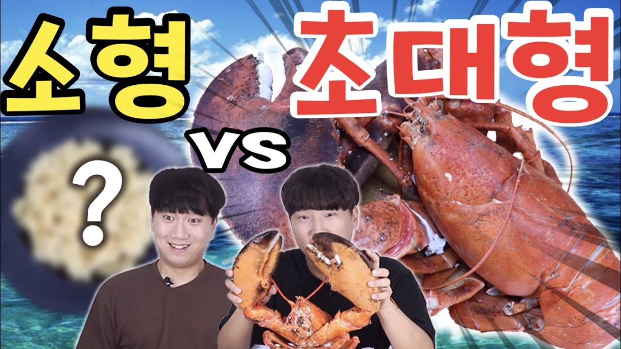 5KG 초대형 랍스타! VS 상상불가의 소형 랍스타! 소형 VS 초대형 - 각자먹방!