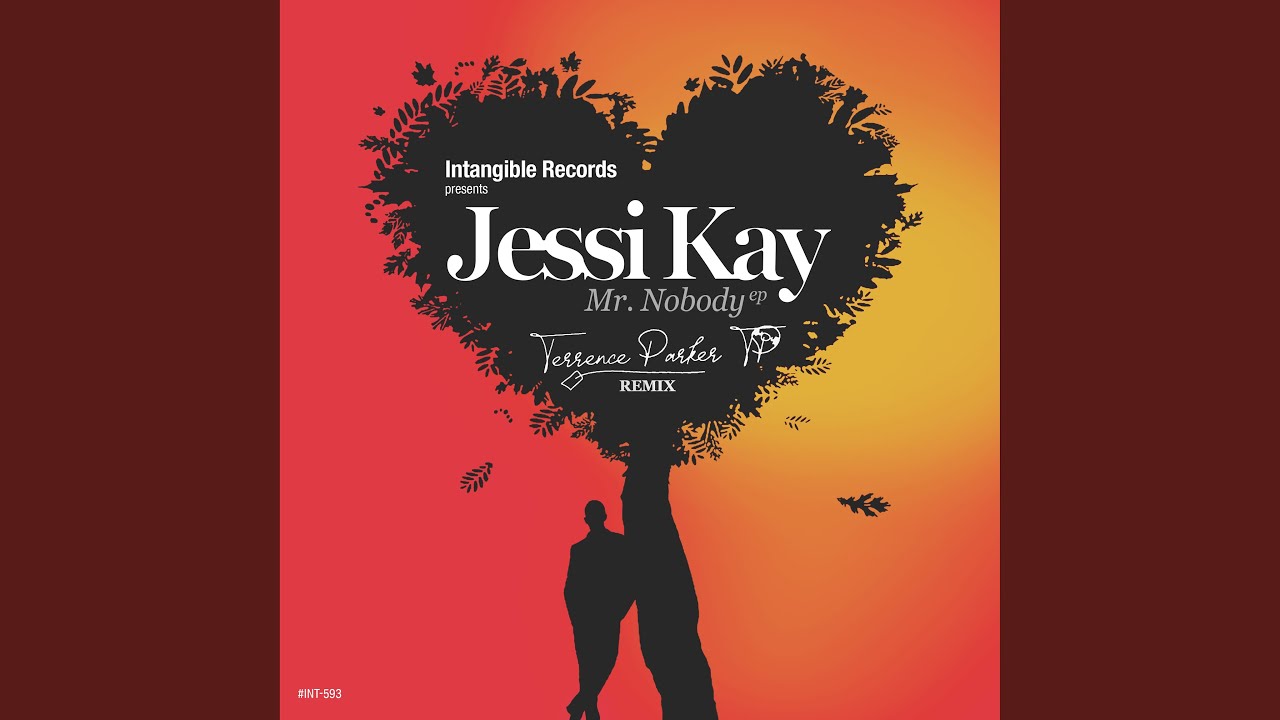 Mr Nobody (Terrence Parker Remix)