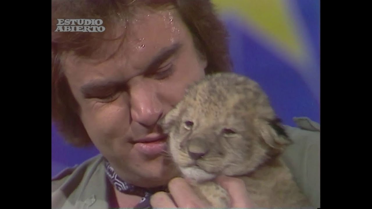 Barrab&aacute;s &ndash; The Lion (Don't Kill The Lion) 1982  Tv - 14. 07.1982