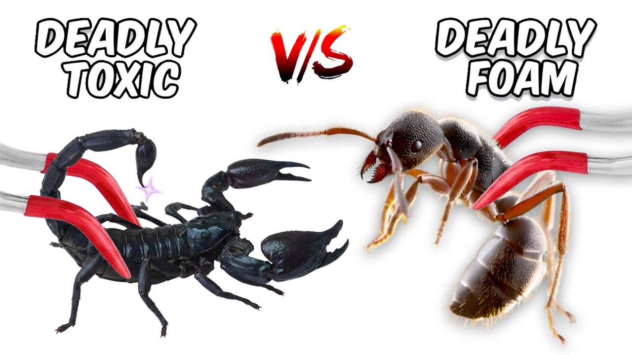 1,000 Rufipes Ants Vs. Deadly Giants 😱 ANTTREK Ant Colony Simulation