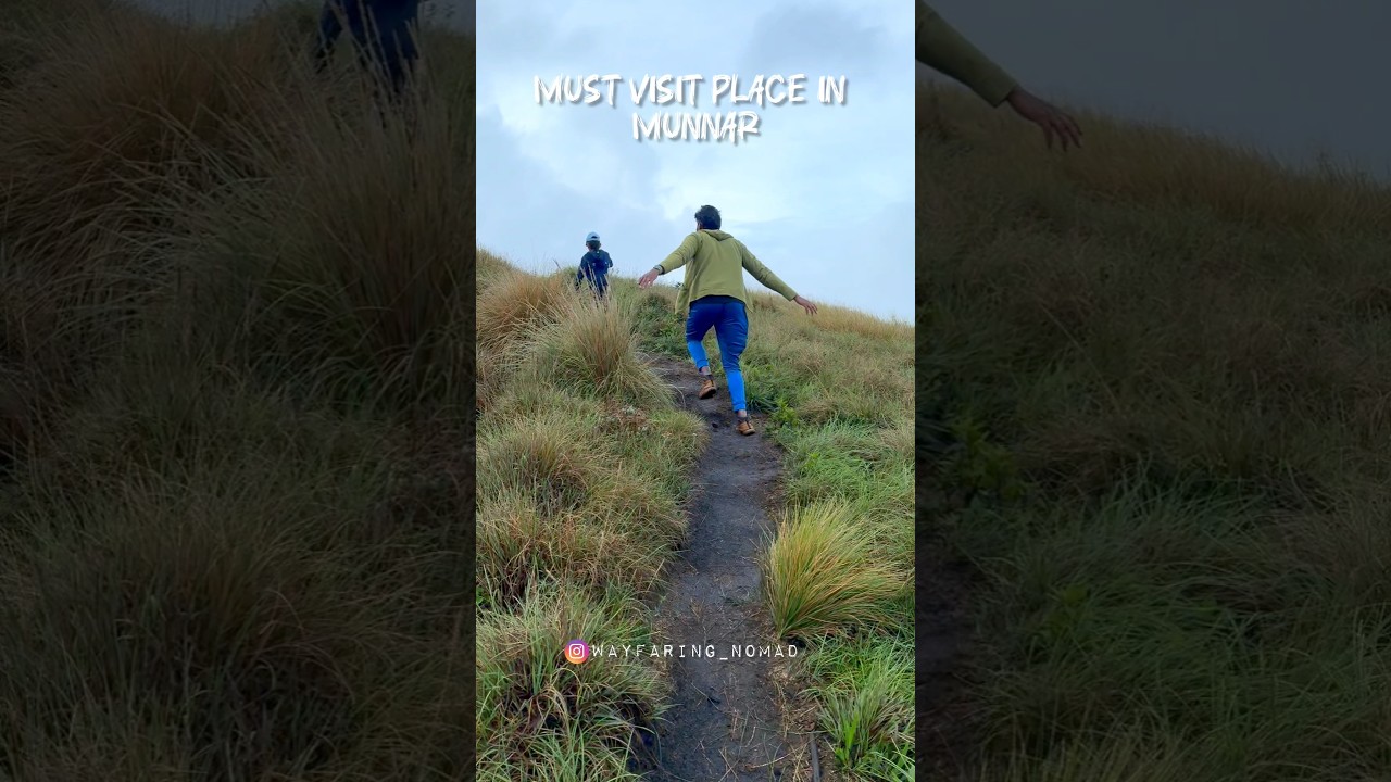 Must Visit hidden Place in Munnar 😱#trekking #munnar #adventure #kerala #s23ultra #travel