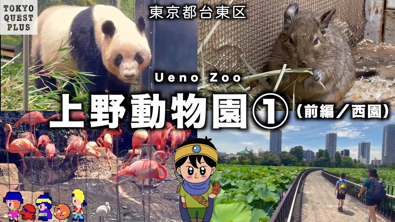 【上野動物園①(前編／西園)】パンダ、ペンギン、キリン、サイ、カバ、フラミンゴ、カンガルーに不忍池など…魅力いっぱいの「西園」を冒険。（東京都台東区上野公園）