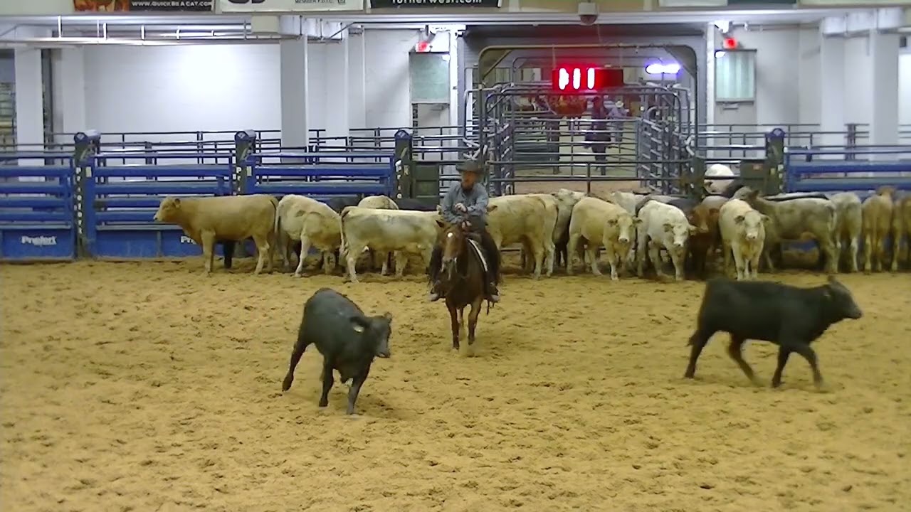 11-10-22  ACHA Championship - Belton, TX - Ryan Smith - THUNDERSTRUCK ANN - 4yr Non Pro - 144