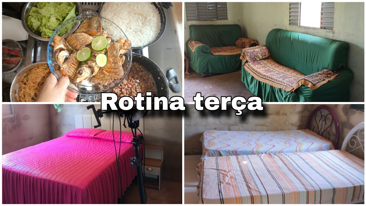 Rotina de uma terça-feira na casinha simples da roça !🏡🪴☺️