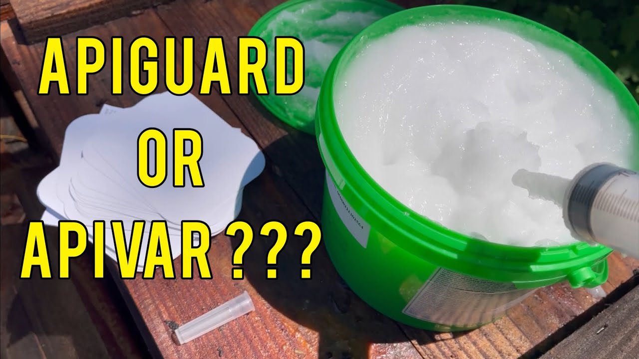 ApiGuard or Apivar……How about Both?