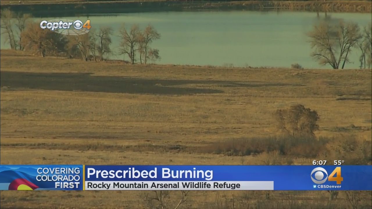 Smoke From Burn At Rocky Mountain Arsenal National Wildlife Refuge Might Be Visible