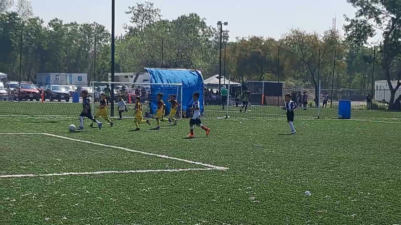 Gol Danae Nido Aguila