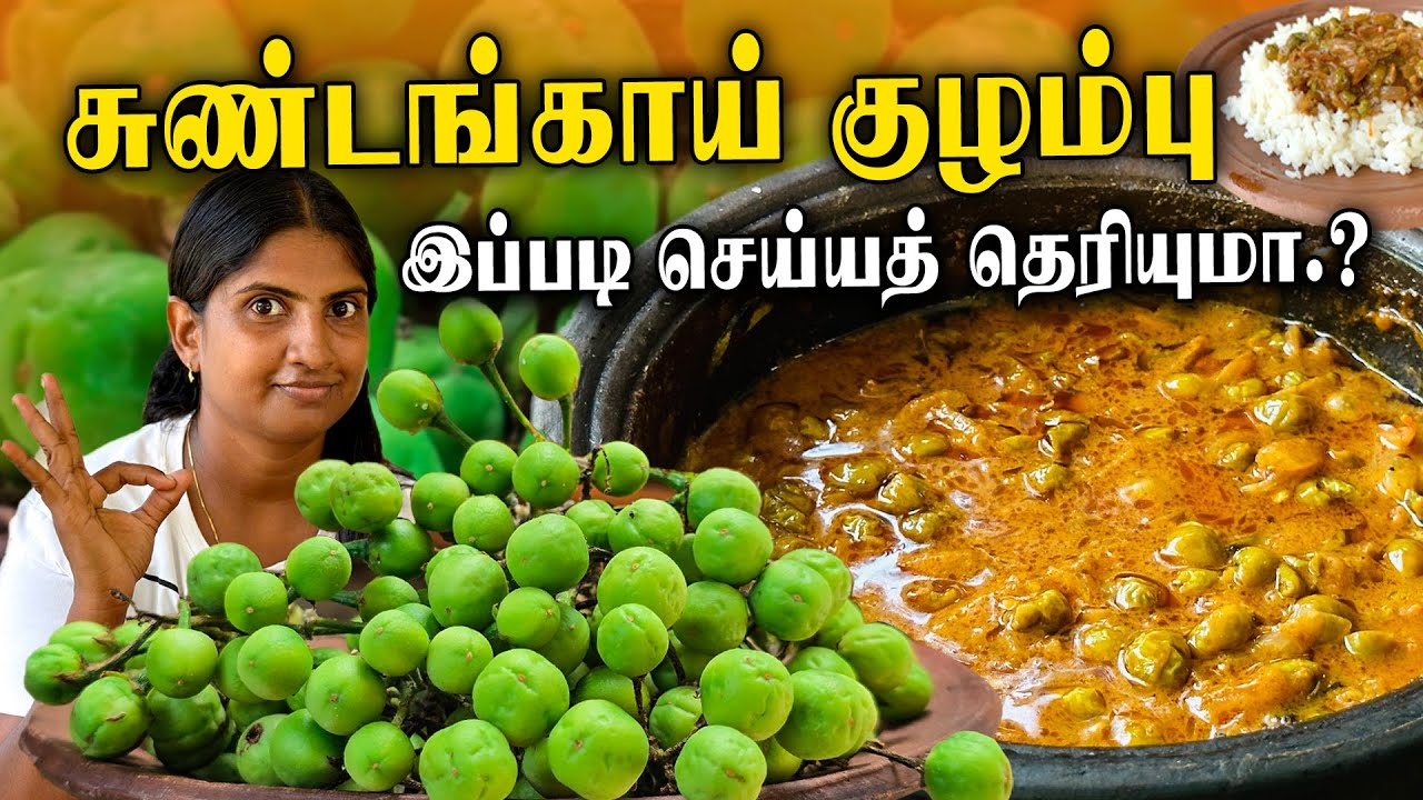 யாழ்ப்பாணத்து சுண்டைக்காய் குழம்பு / sundakkai kulambu in tamil | Sundakkai Kuzhambu Recipe in Tamil