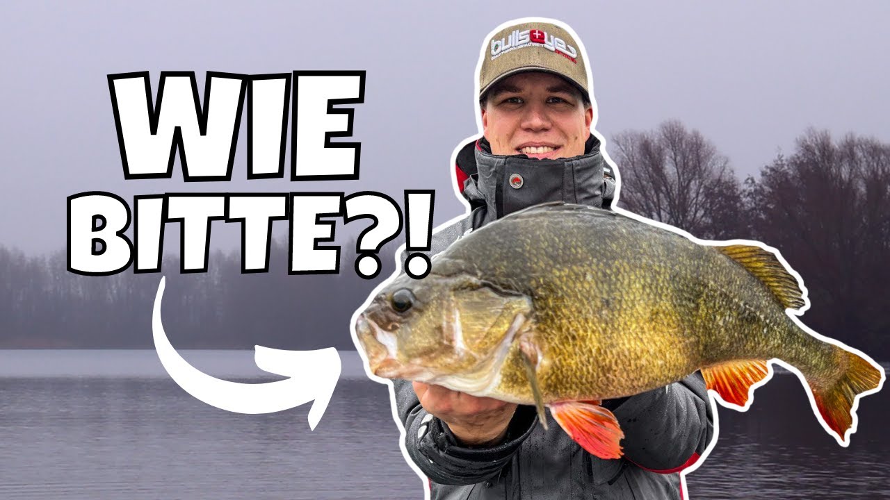 DAS ist ein BARSCH | 50er BARSCH + METERHECHT | Angeln am Baggersee im Winter | PB für Vlorre + Jana