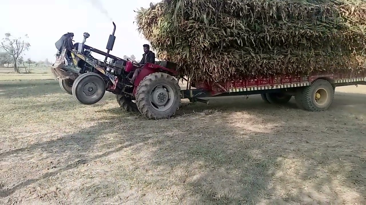M F Massey Ferguson 260 load trailer@arsalfarm