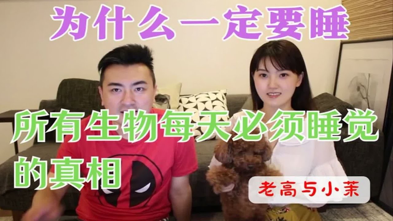真相！为什么一定要睡？所有生物每天必须睡觉的真相  老高与小茉