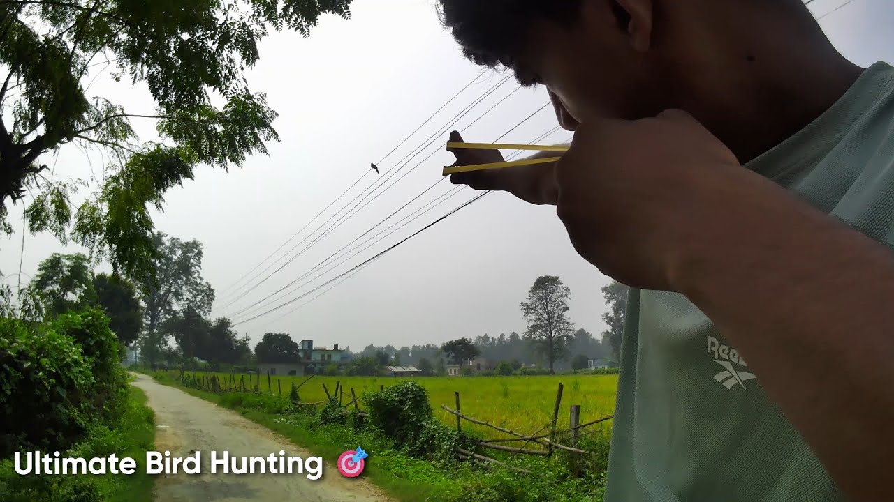 Ultimate Bird Hunting with Handmade Slingshot | Gulel Master 1 Style | Nepali Village Action