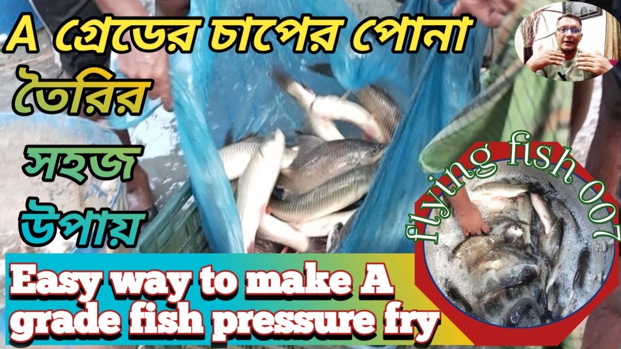 A গ্ৰেডের চাপের পোনা তৈরির সহজ উপায়।