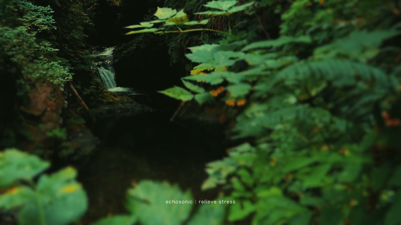 Return to Yourself | Healing Frequencies to Find Your Inner Home