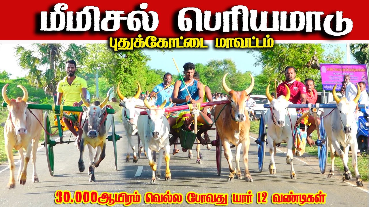 மீமிசல் பெரியமாடு பந்தயம் 27.09.2025