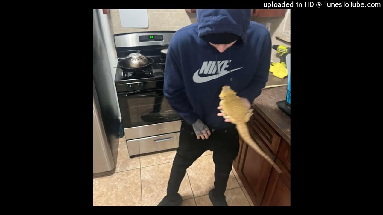 damnnhecold556 + boolymon + perubaby + marrgielaa type beat