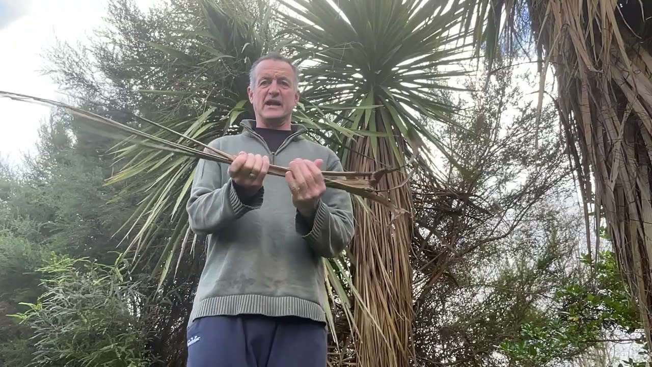 Free home fire lighters - New Zealand&rsquo;s Cabbage Tree