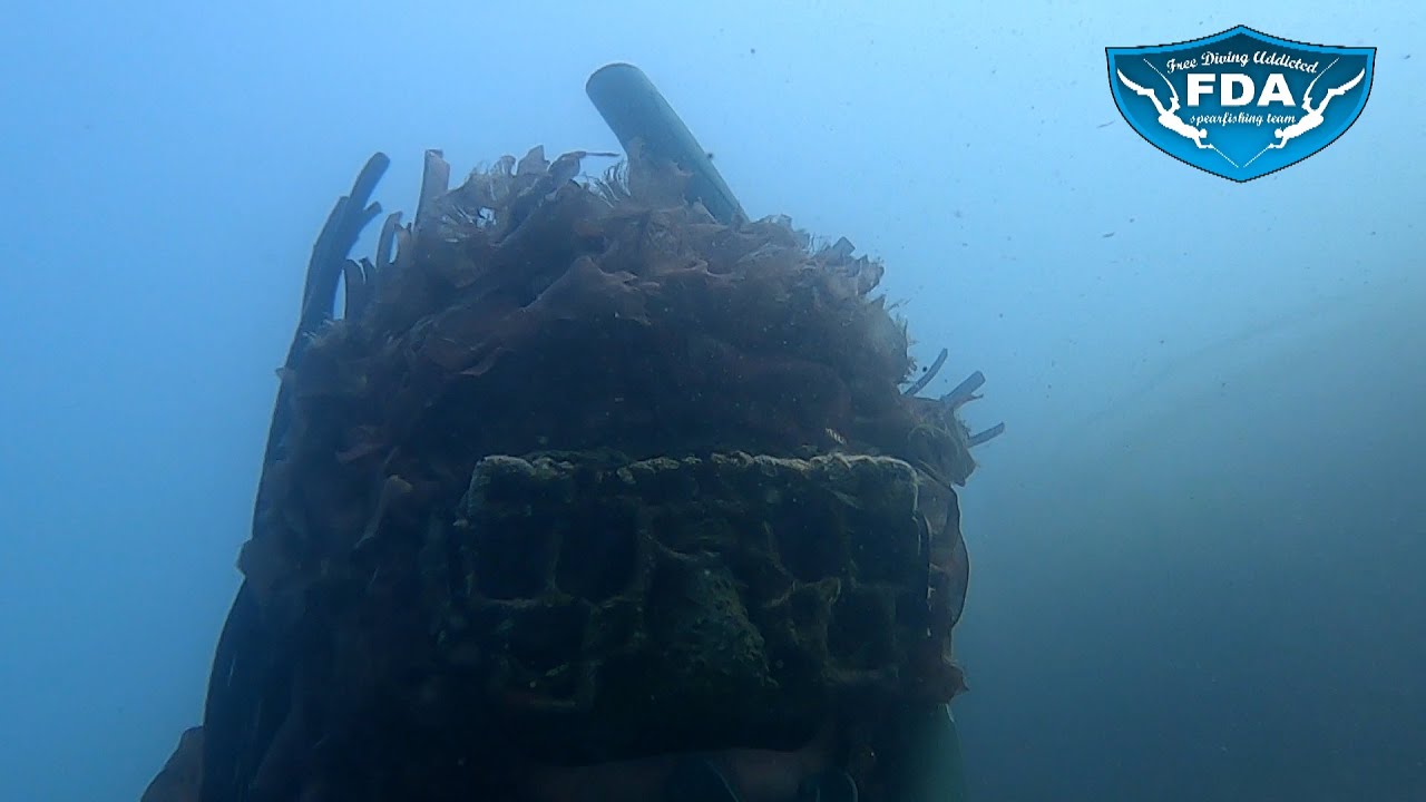 pesca sub : esempio di mimetismo estremo pesca in apnea
