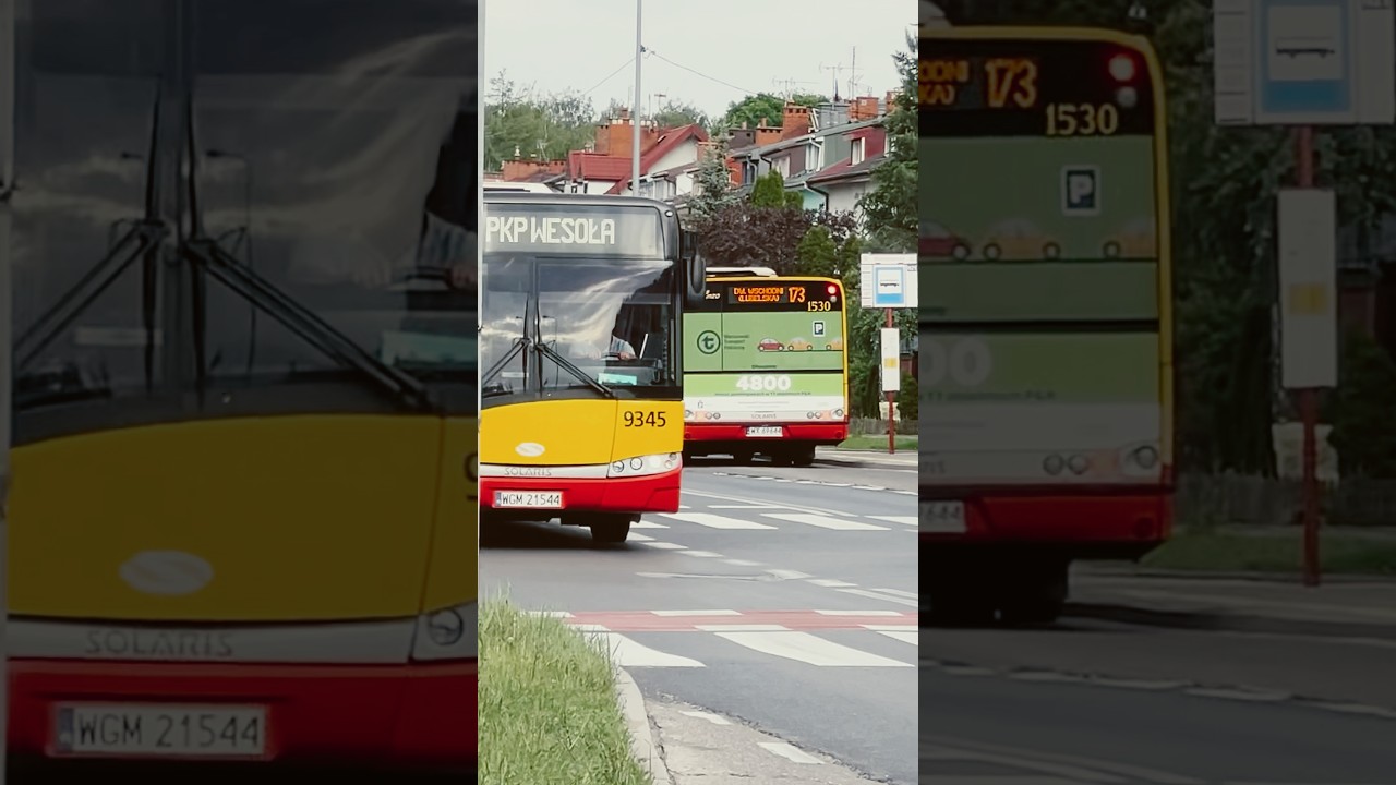 #7307 #147 #9345 #198 #173 #1530 przystanek Marmurowa #Daily44