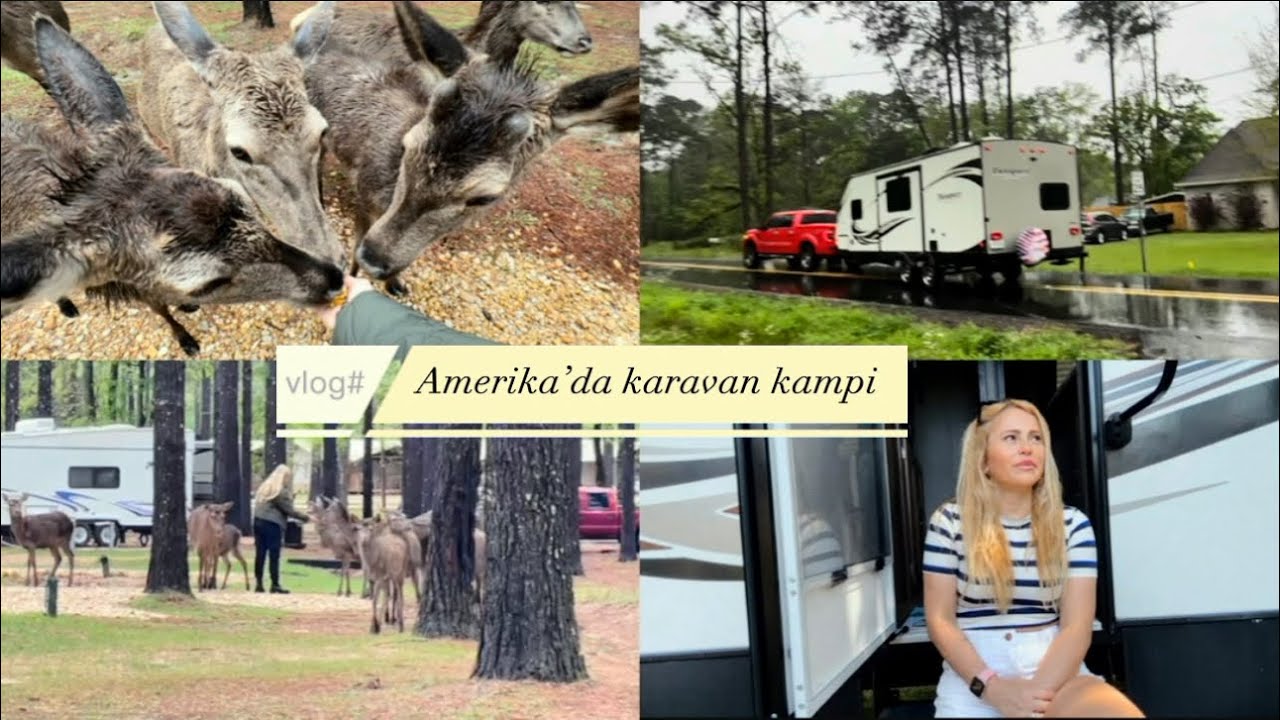AMERIKA DA KARAVAN KAMPI GEĞİKLERİ ELLERİMLE BESLEDİM YABAN DOMUZLARIYLA KAMP YAPTIK RV CAMPING