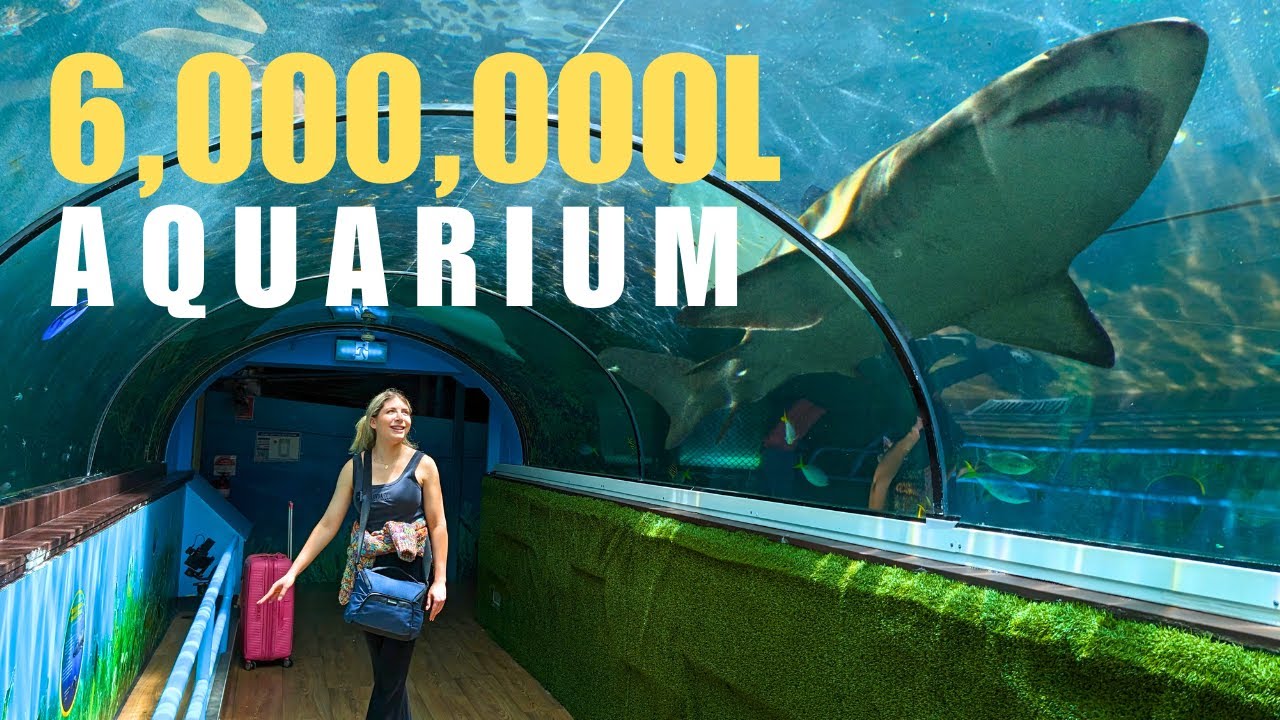 Visiting Sydney SEA LIFE Aquarium in Australia! (Full Tour)