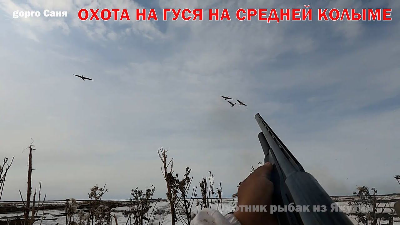 ОХОТА НА ГУСЯ НА СРЕДНЕЙ КОЛЫМЕ 2024.  GOOSE HUNTING IN SIBERIA 2024. YAKUTIA
