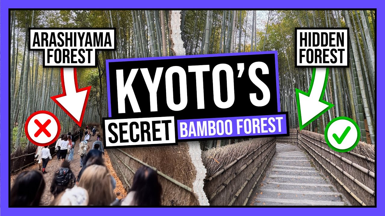 👀 We Found A SECRET Bamboo Forest in Kyoto, Japan 🤫🇯🇵 Avoid the crowds and tourists!
