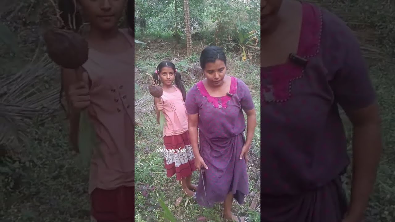 നമ്മുടെ പറമ്പും നമ്മുടെ ജീവിതവും നമ്മുടെ ലോകവും ഇതാണ് 🥰🥰🥰..