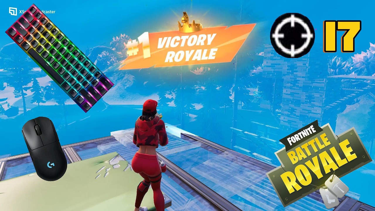 Fortnite Battle royale | 17 kill solo gameplay | (Keyboard & Mouse)