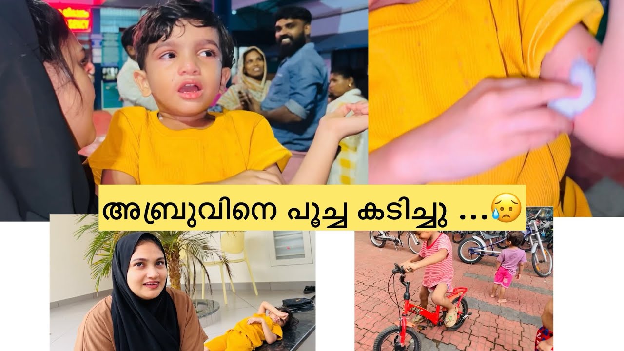 അബ്രുവിനെ പൂച്ച കടിച്ചു ..😓 #cat #anshifmoonikkal