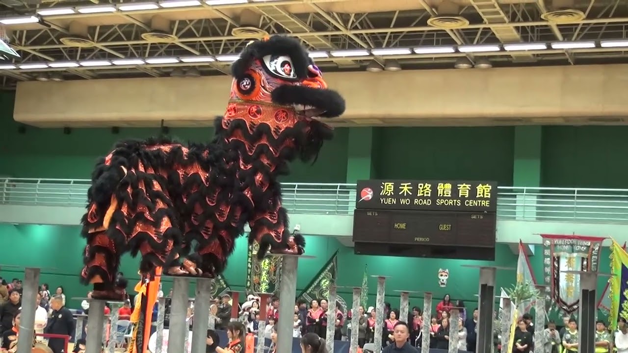 【全港公開龍獅藝錦標賽2024】郭氏功夫金龍醒獅團巾幗隊 20241201