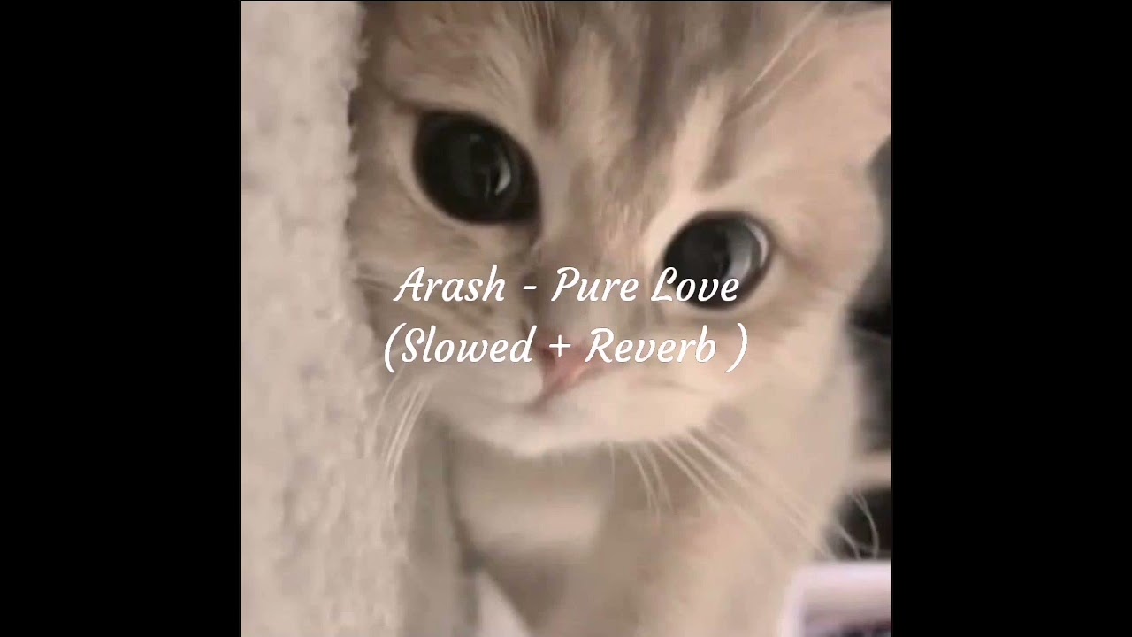 Arash - Pure Love (Slowed + Reverb)