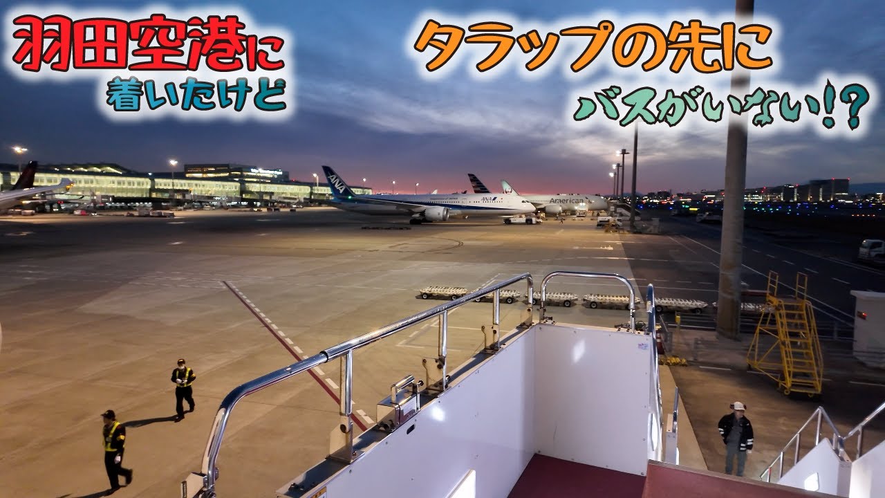 JAL ビジネスクラス・シドニーから羽田 - ファーストクラスラウンジ