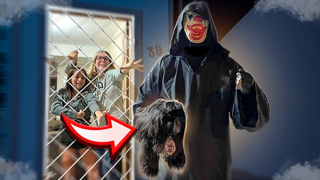 O ZIG ROUBOU O CACHORRO 🐶 DA LAILA!!!