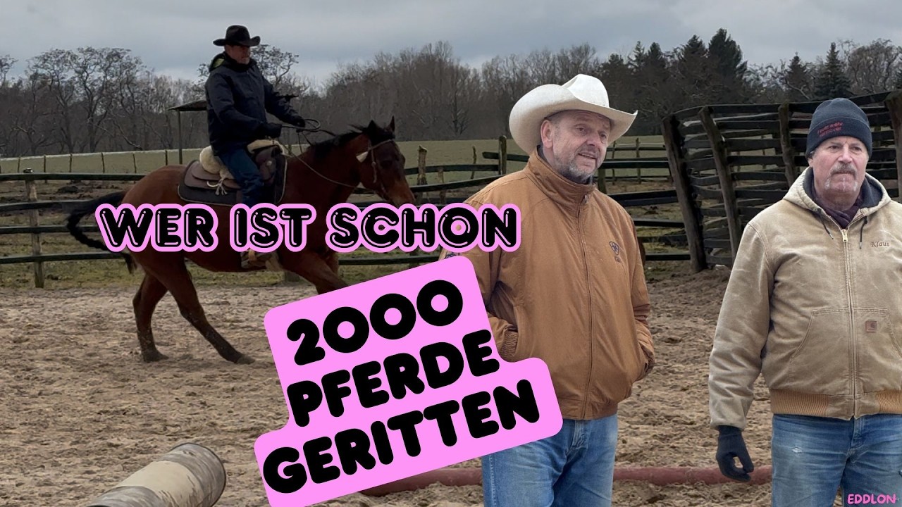 Wer ist schon 2000 Pferde geritten